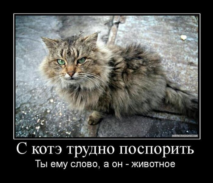 Правда жизни! Источник картиночки тут: uralweb.ru