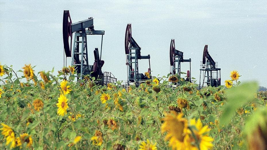    Russian Look/Global Look Press