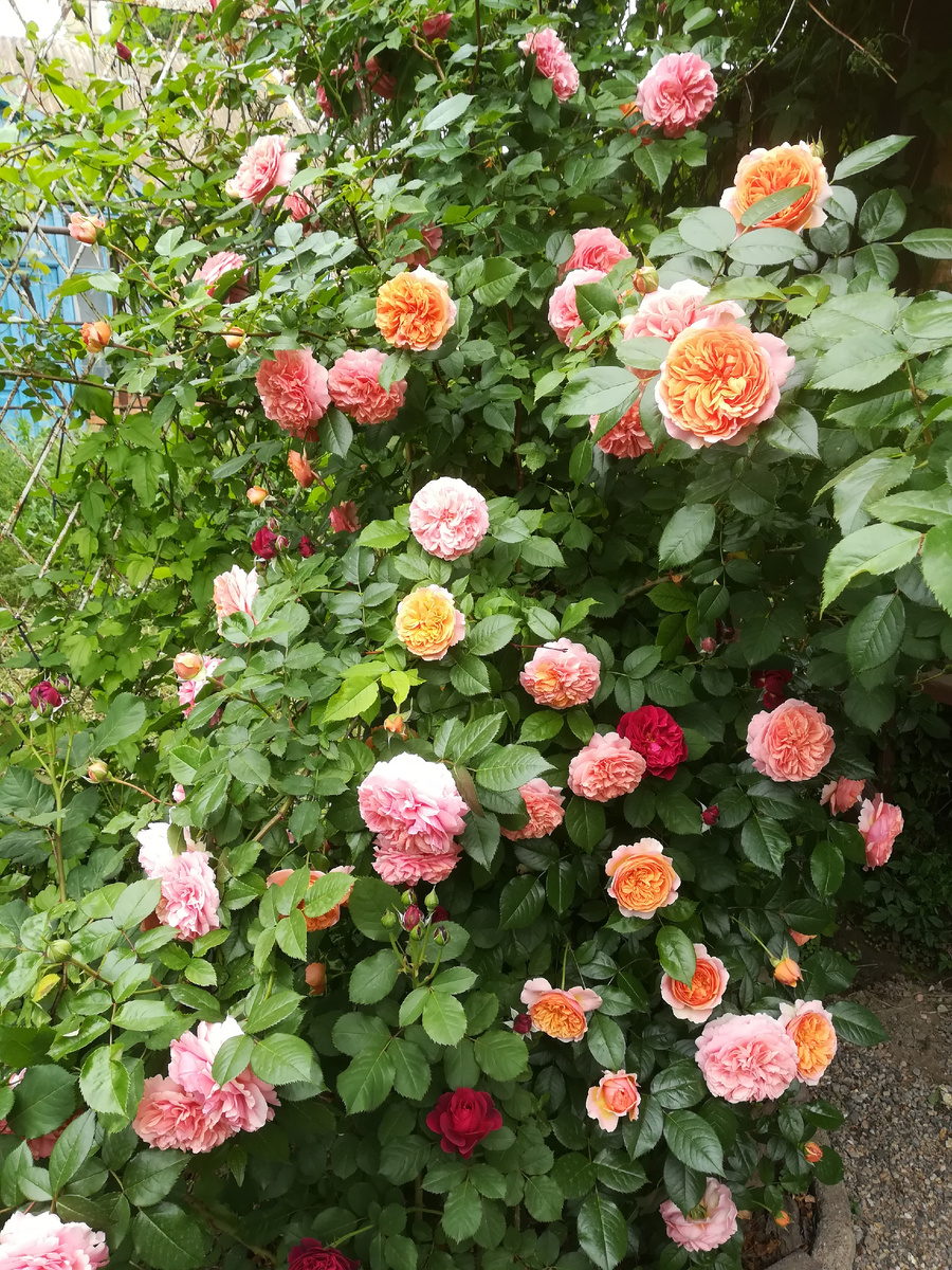 -2-2