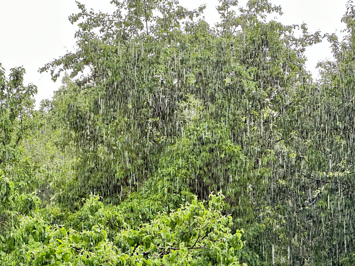 Погода сейчас. На достаточно просторном мониторе - впечатляет.