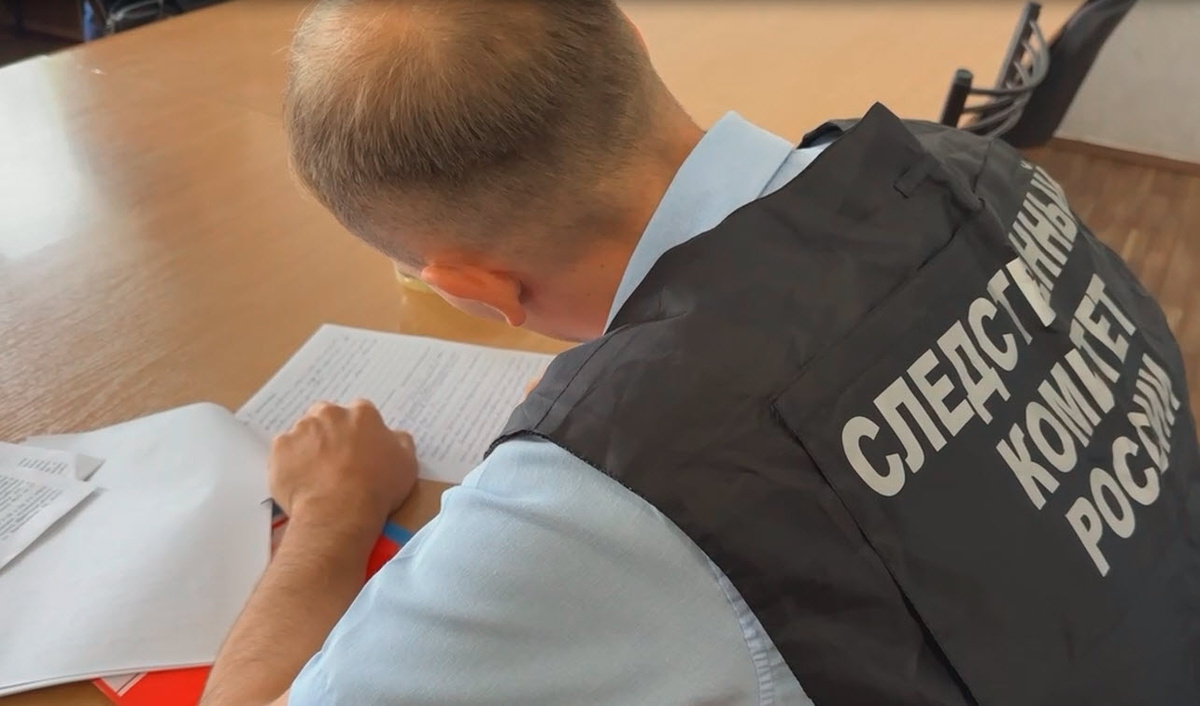 СКРИНШОТ ВИДЕО СЛЕДКОМ 38