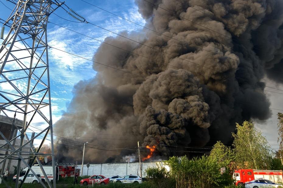    Фото: Александра Краснова/ТАСС