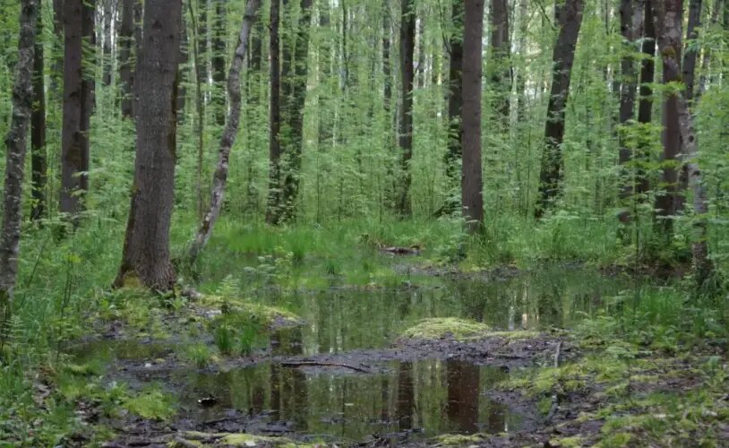    Фото: Мойка78