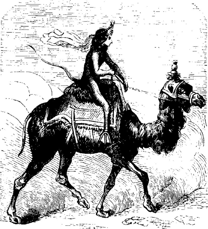 Изображение Паймона из «Инфернального словаря» Коллена де Планси