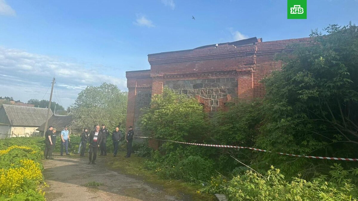    Фото: prok_lenobl / t.me