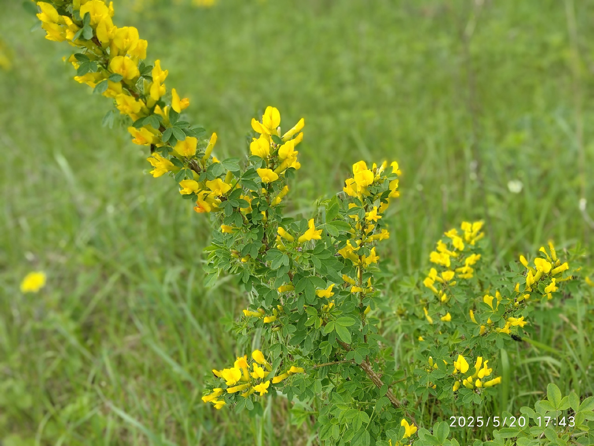 Моя фотография