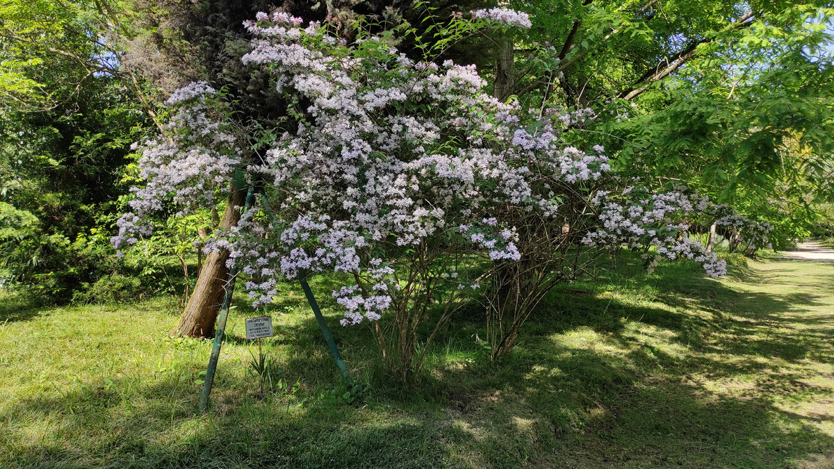 Вперед к красотам Абхазии. Фото: Кирилл Полиенко/Polienko: путешествуем вдвоём