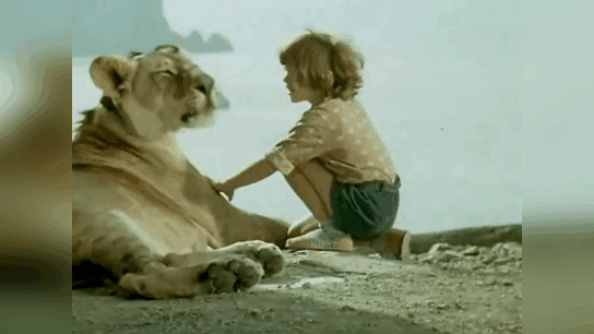 Рома Берберов и Кинг Второй в фильме "У меня есть лев".