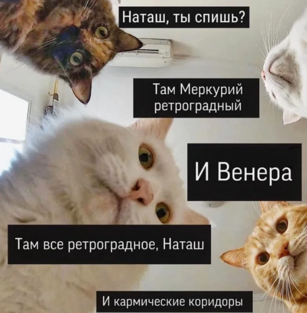 Всё ретроградное, Наташ