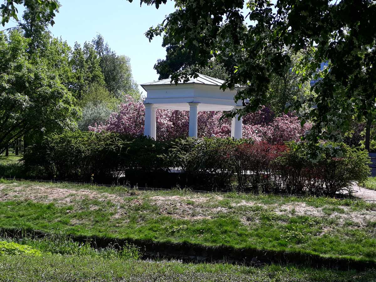 Фото автора.