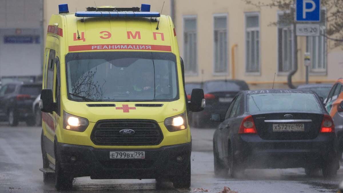    Фото: Shatokhina Natalia/news.ru