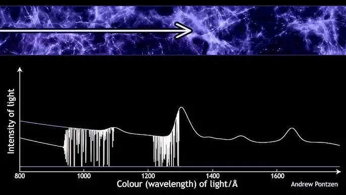 Лес Лайман-альфа в спектре квазара — это серия линий поглощения, наложенных концентрациями атомов водорода на линии зрения к квазару. Из-за космологического расширения каждая линия проявляется на разной красной длине волны, хотя длина волны поглощения одинакова в системе отсчёта самого поглощающего вещества — поскольку более удалённые участки поглощения удаляются от наблюдателя быстрее.
