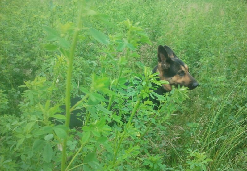 Фото автора