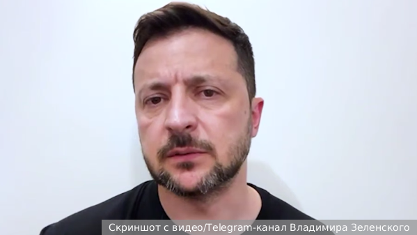    Фото: Скриншот с видео/Telegram-канал Владимира Зеленского   
 Текст: Ирма Каплан
