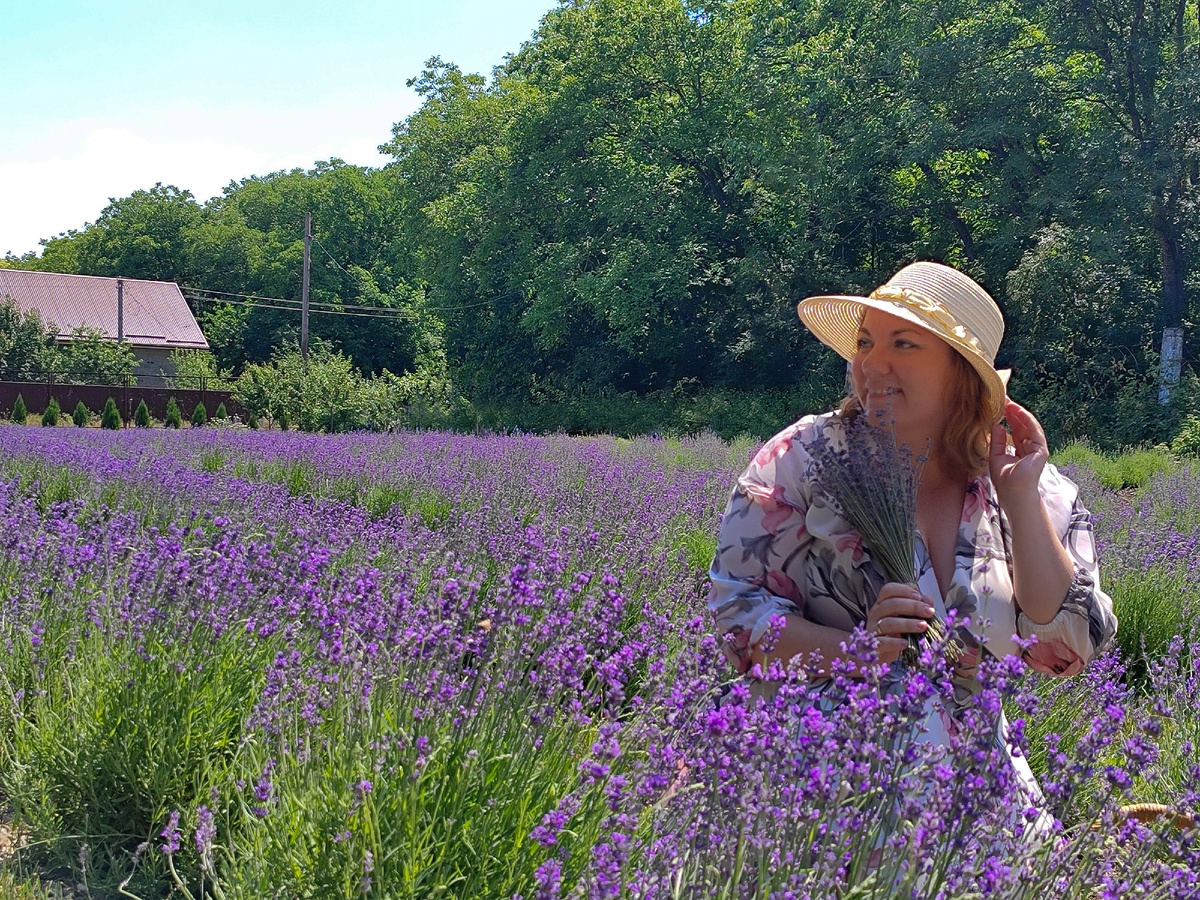 Лавандовый сад (фото автора)