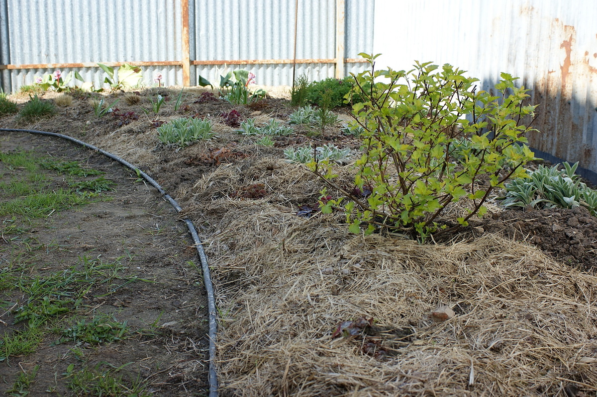 23 апреля 2025.