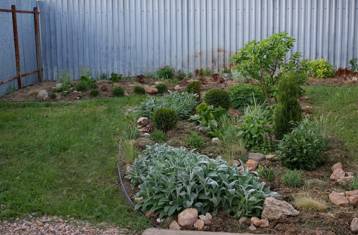 Повторю картинку из той статьи. Вид с дорожки от калитки к дому. На переднем плане – цветник перед окнами дома (тот, что по ссылке), на заднем плане, у забора, наш сегодняшний цветник. 