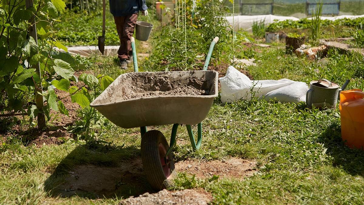    Фото: Shutterstock