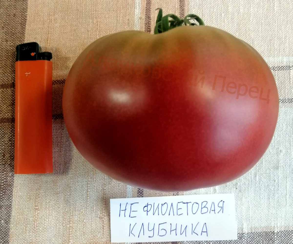 Не фиолетовая клубника