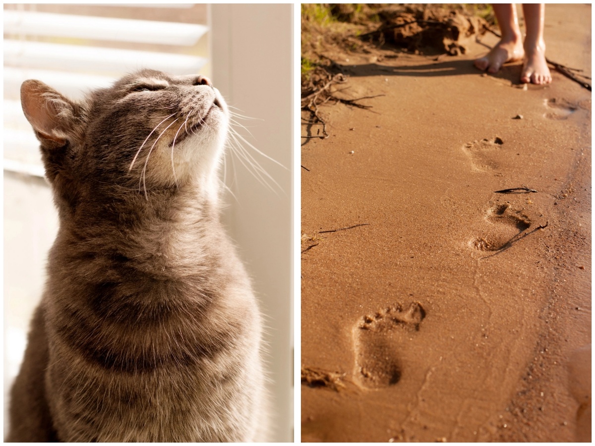 Личное фото