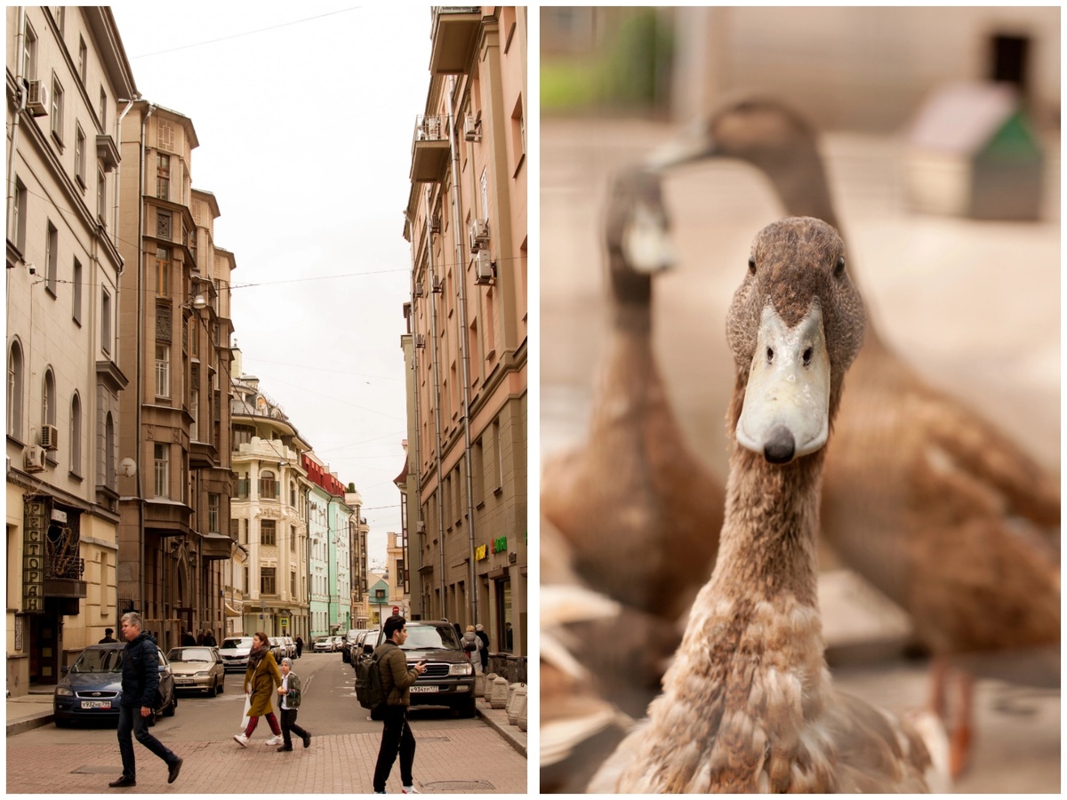 Личное фото: слева - Старый Арбат, г. Москва