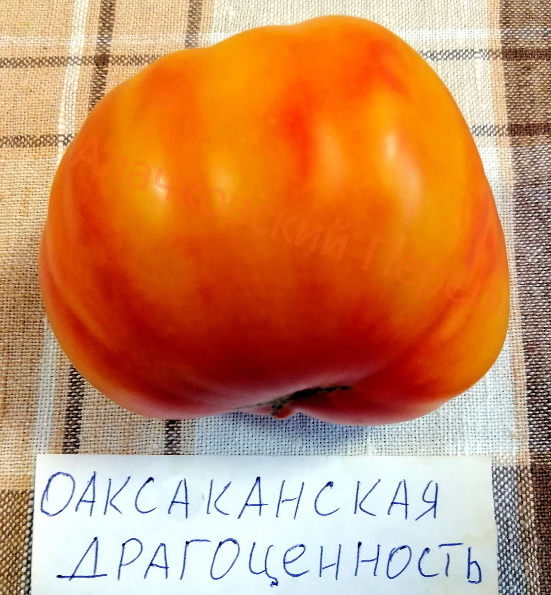 Оаксаканская драгоценность