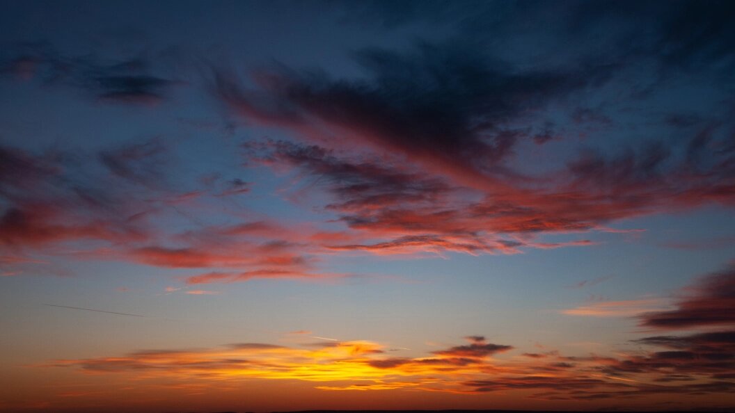    Фото: Svetlana Vozmilova/Global Look Press