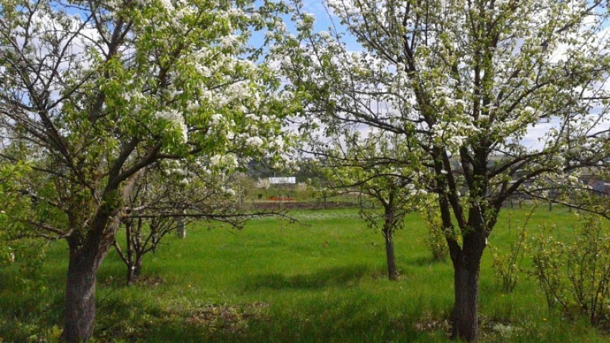    В Энгельсе завершили оценку ущерба дачникам от атаки БПЛАНовости Саратова и области – Сетевое издание «Репортер64»
