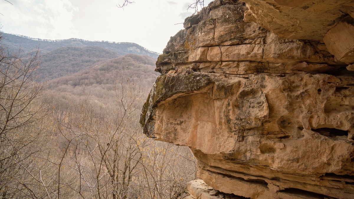 История происхождения