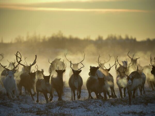    © РИА Новости Рамиль Ситдиков