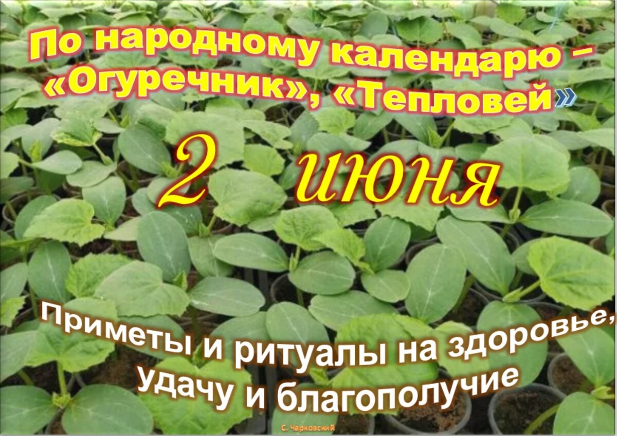 Встречаем новый день