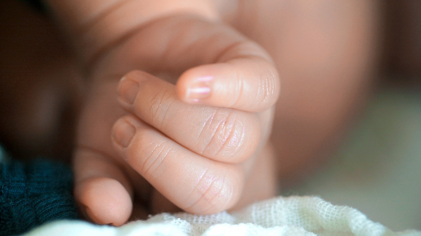    Фото: www.globallookpress.com/N. Hochheimer / CHROMORANGE