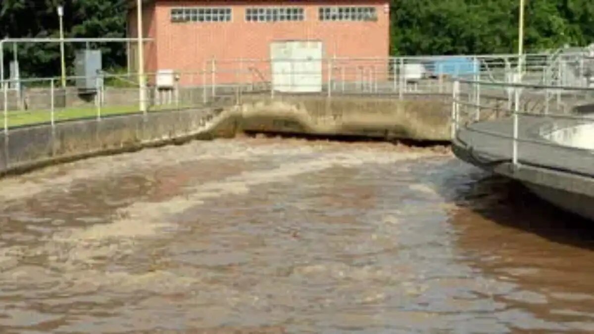 Фото:© landpixel
Сточные воды с очистных сооружений можно использовать для орошения