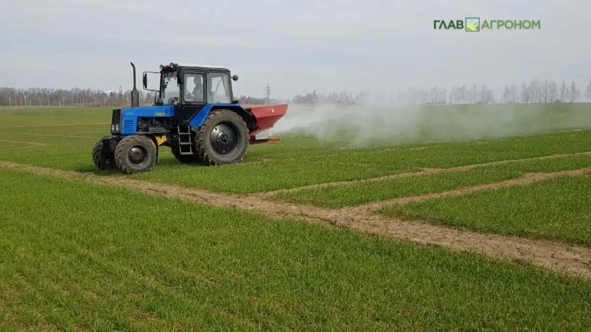 Фото:© Владимир Исаенко / Glavagronom.ru
Мировое производство карбамида составляет около 180-190 млн тонн