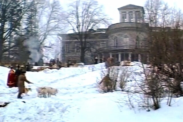    Фото: кадр из видео