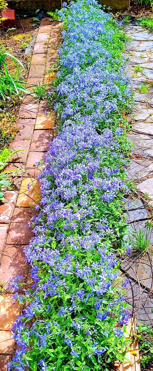 У крыльца, напротив столика, где я бельё штопаю.