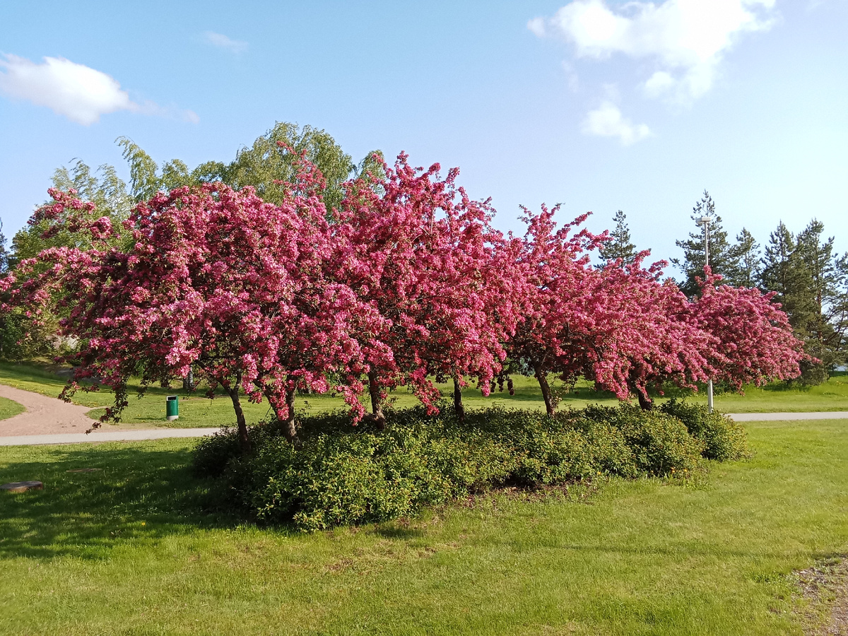 Такая красота на въезде в Котку