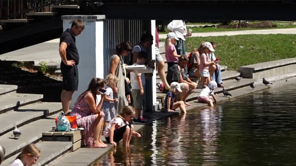    Семья. Дети.. Источник: Толк