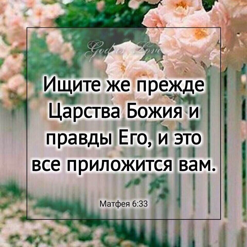 Из открытых источников Яндекса.