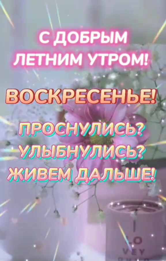 Скрин сделан автором статьи