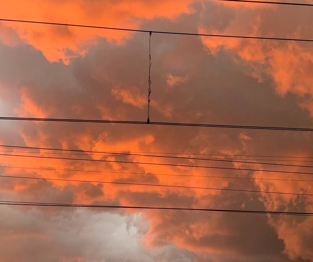 Вчера была такая красота, когда ехали домой электричкой