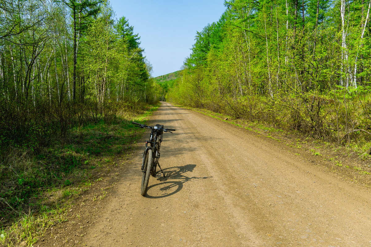 Власьевская дорога
