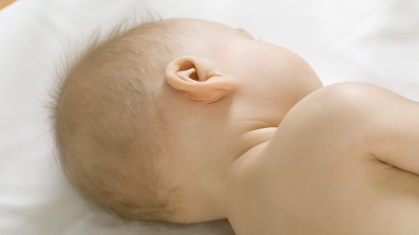    Фото: www.globallookpress.com/Vladimir Godnik; 5-tv.ru