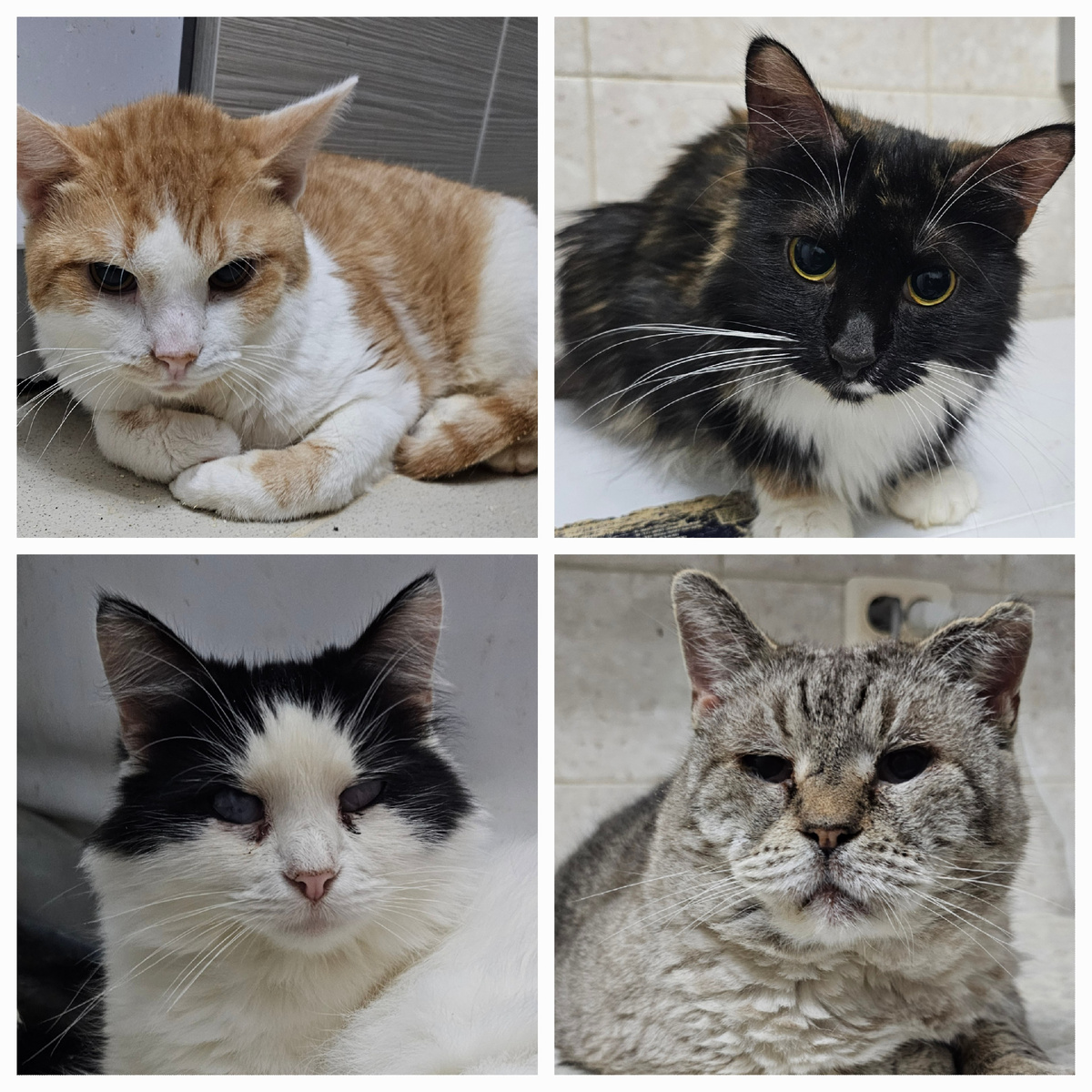 Фото автора. Ребята заболевшие фипом.