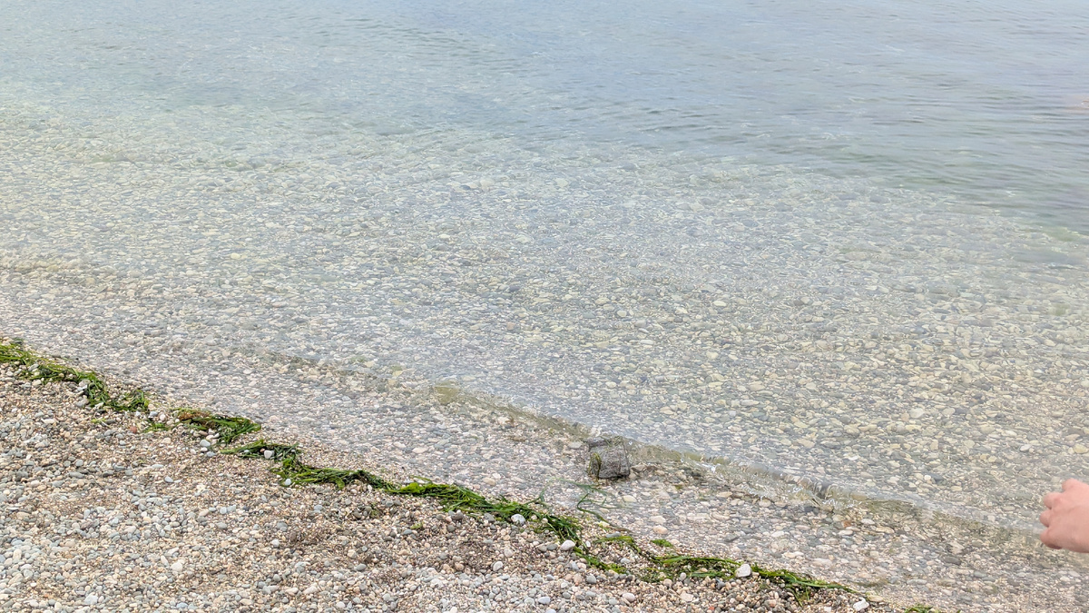 Пляжи в Феодосии есть и песчаные и галечные 