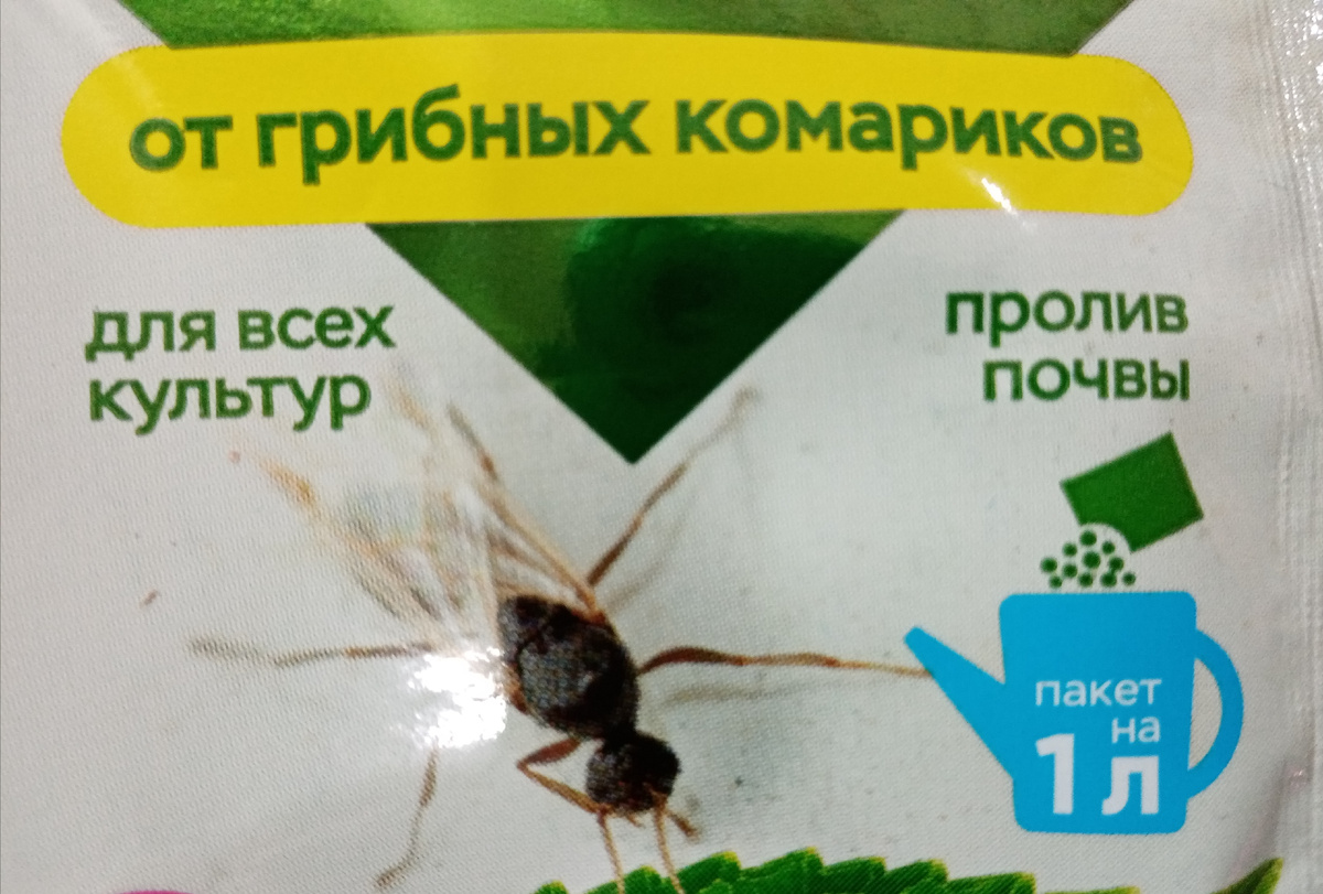 взрослое насекомое(мошка)