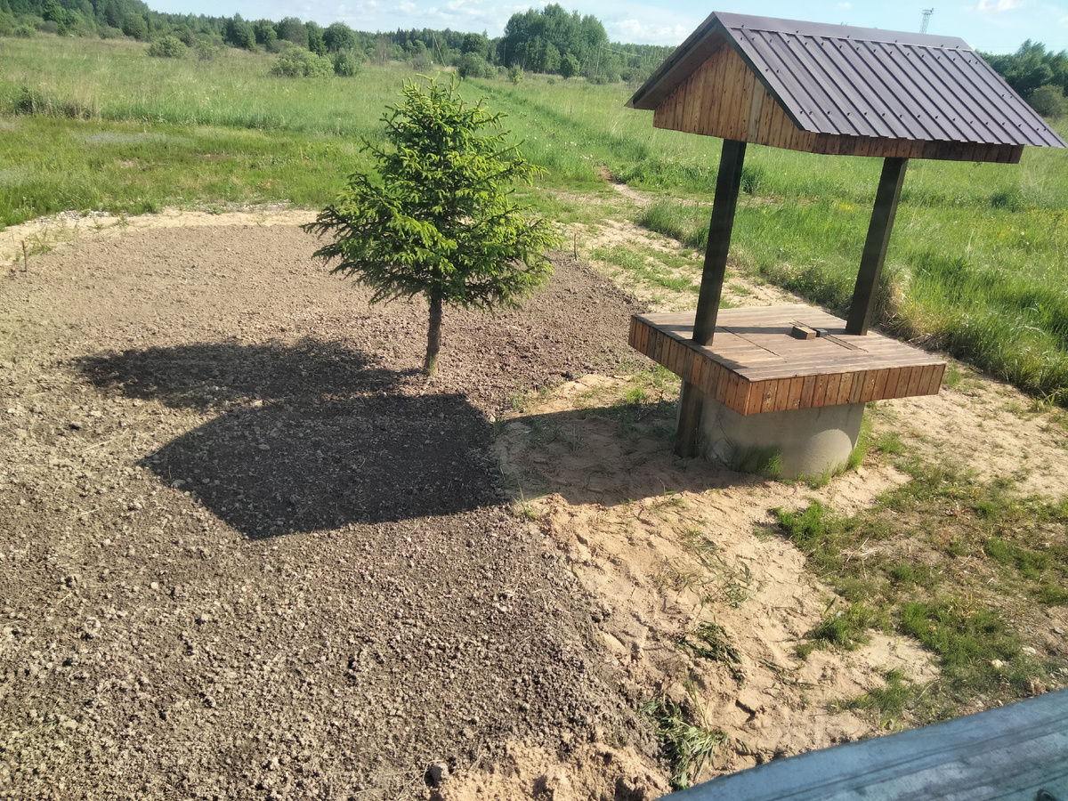 Будущий газон