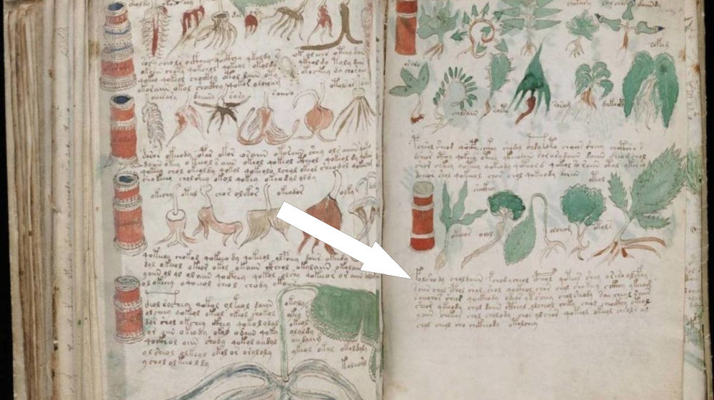    Тайна рукописи Войнича наконец раскрыта ИИ от российских ученых