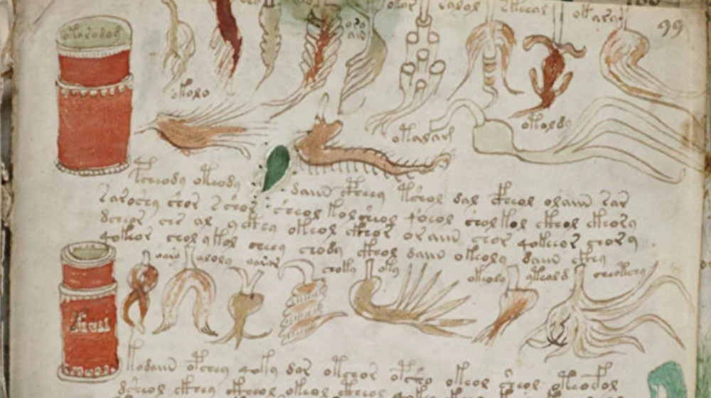    Тайна рукописи Войнича наконец раскрыта ИИ от российских ученых