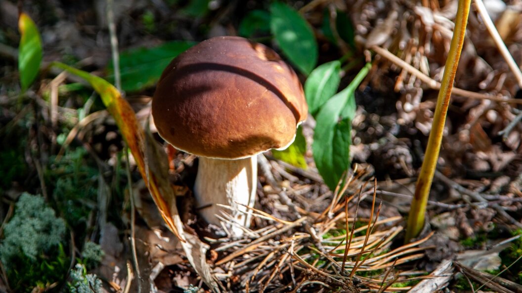    Oksana Korol/Business Online/Globallookpress